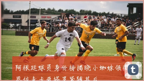 阿根廷球员身价榜揭晓小蜘蛛领衔恩佐麦卡劳塔罗紧随其后