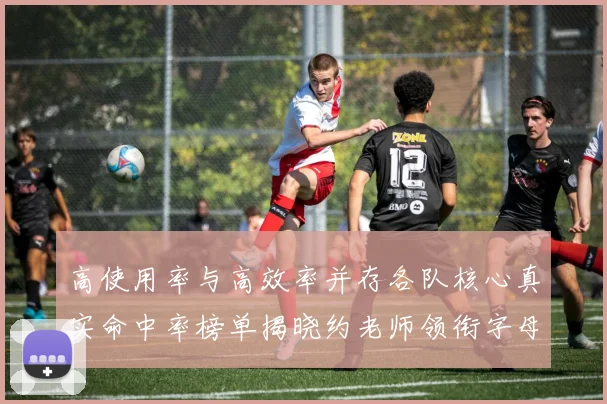 高使用率与高效率并存各队核心真实命中率榜单揭晓约老师领衔字母紧随其后