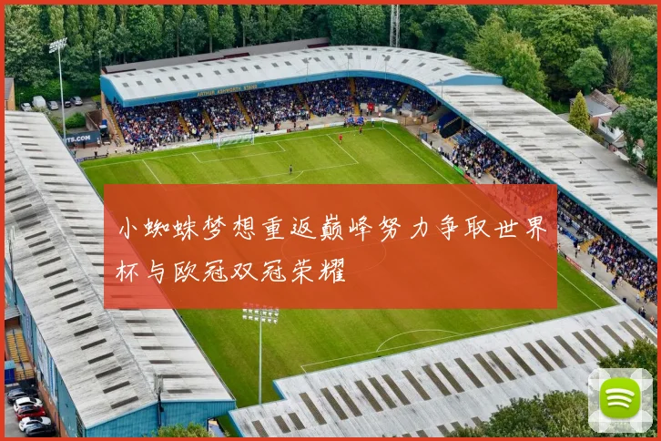 小蜘蛛梦想重返巅峰努力争取世界杯与欧冠双冠荣耀